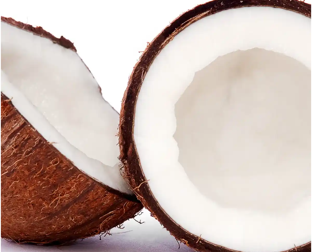 LAGOS SET TO MARK WORLD COCONUT DAY