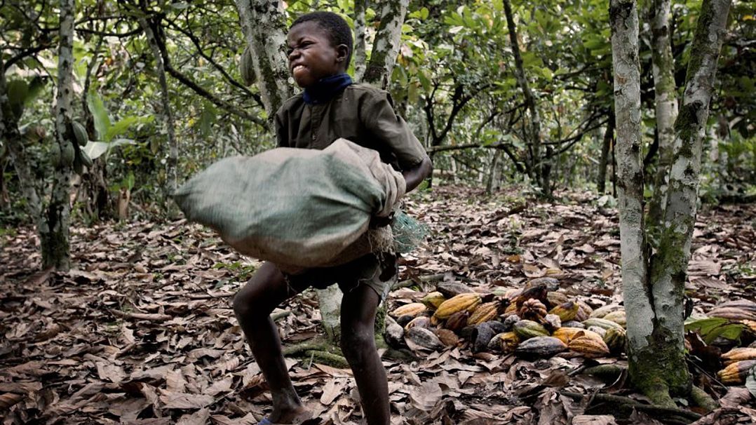 WORLD DAY AGAINST CHILD LABOUR 2021: FG HIGHLIGHTS EFFORTS