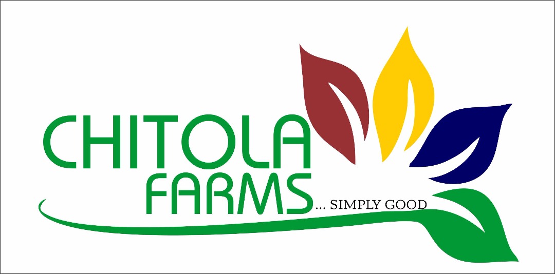 CHI TOLA LAUNCHES AN E-COMMERCE SITE TO PROVIDE FOR CUSTOMERS DESIROUS OF ORGANIC PRODUCTS
