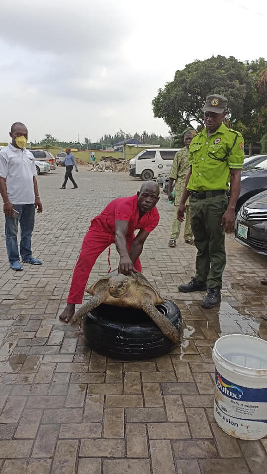 LASEPA SEEKS PROTECTION OF WILDLIFE POPULATION