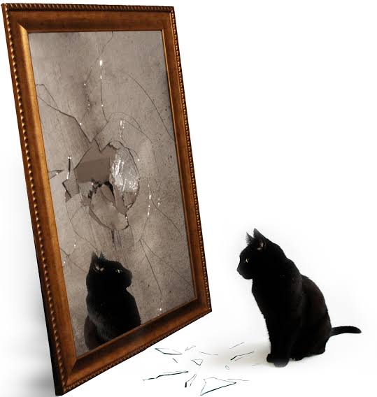 Superstitious beliefs come at a cost to the society.