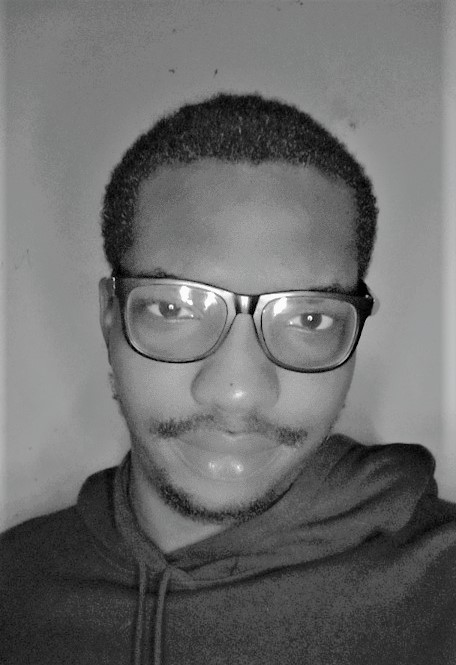 WE ARE POISED TO BUILD ONLINE PORTALS & WEBSITES  FOR NIGERIAN SMEs  – HARRISON OKAFOR