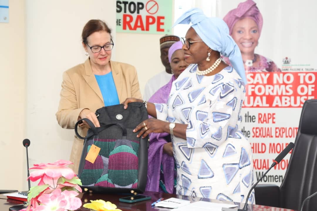 UN Independent Experts seek partnership with Women Ministry to prioritize care for older Women.