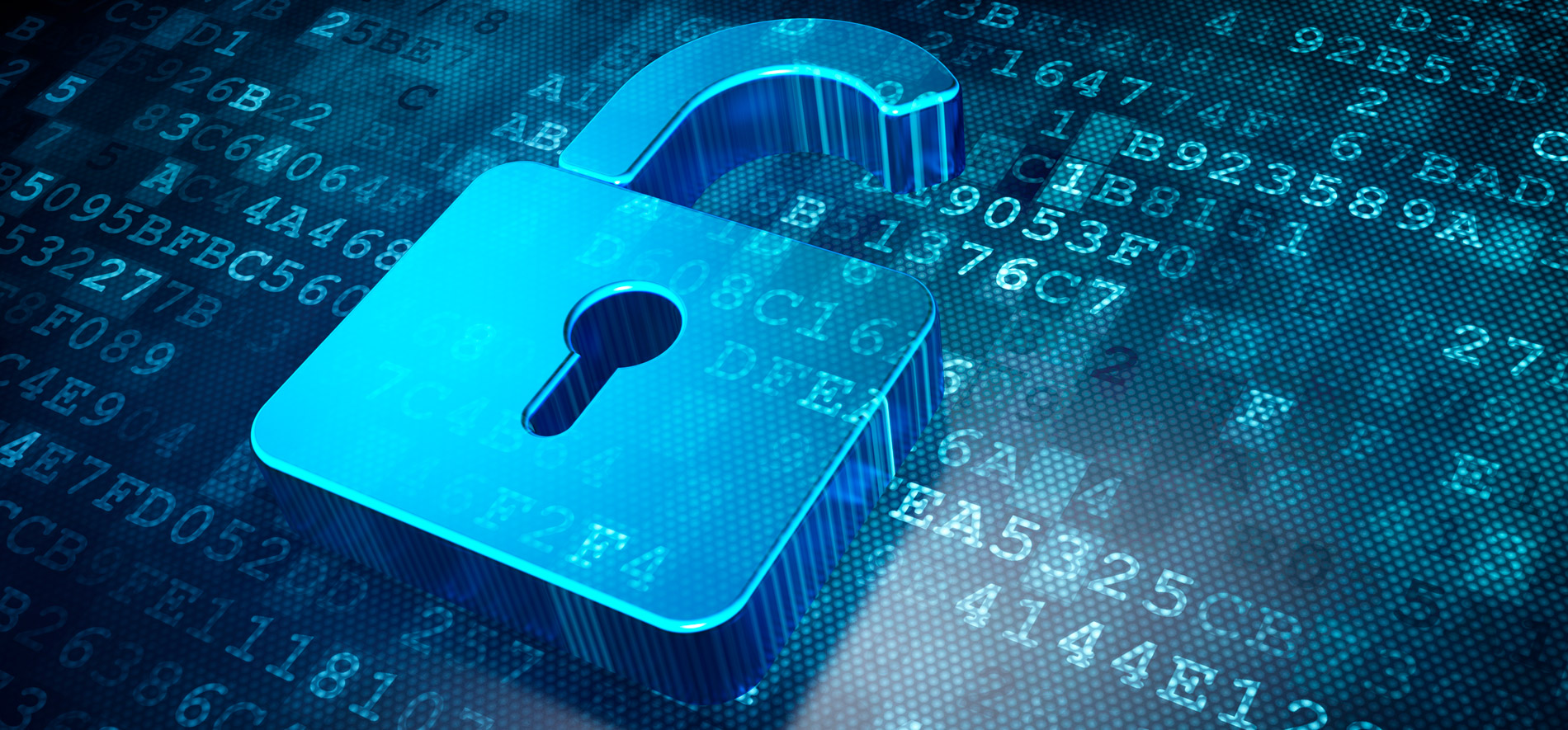 Digital security for the new entrepreneur