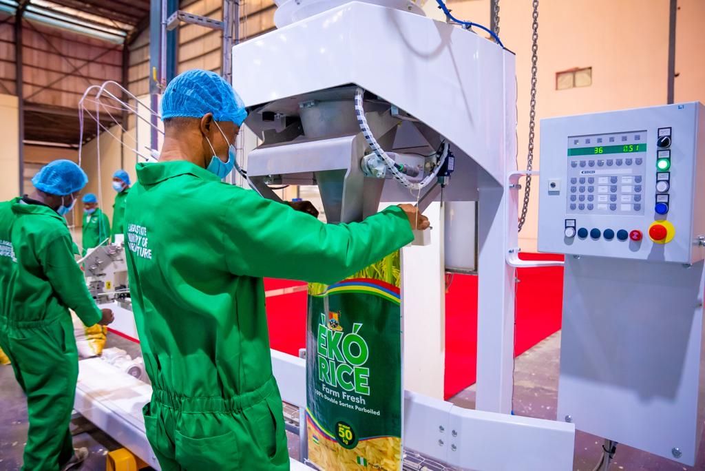 Bühler and Nigerian government collaborate to enhance rice production and food security