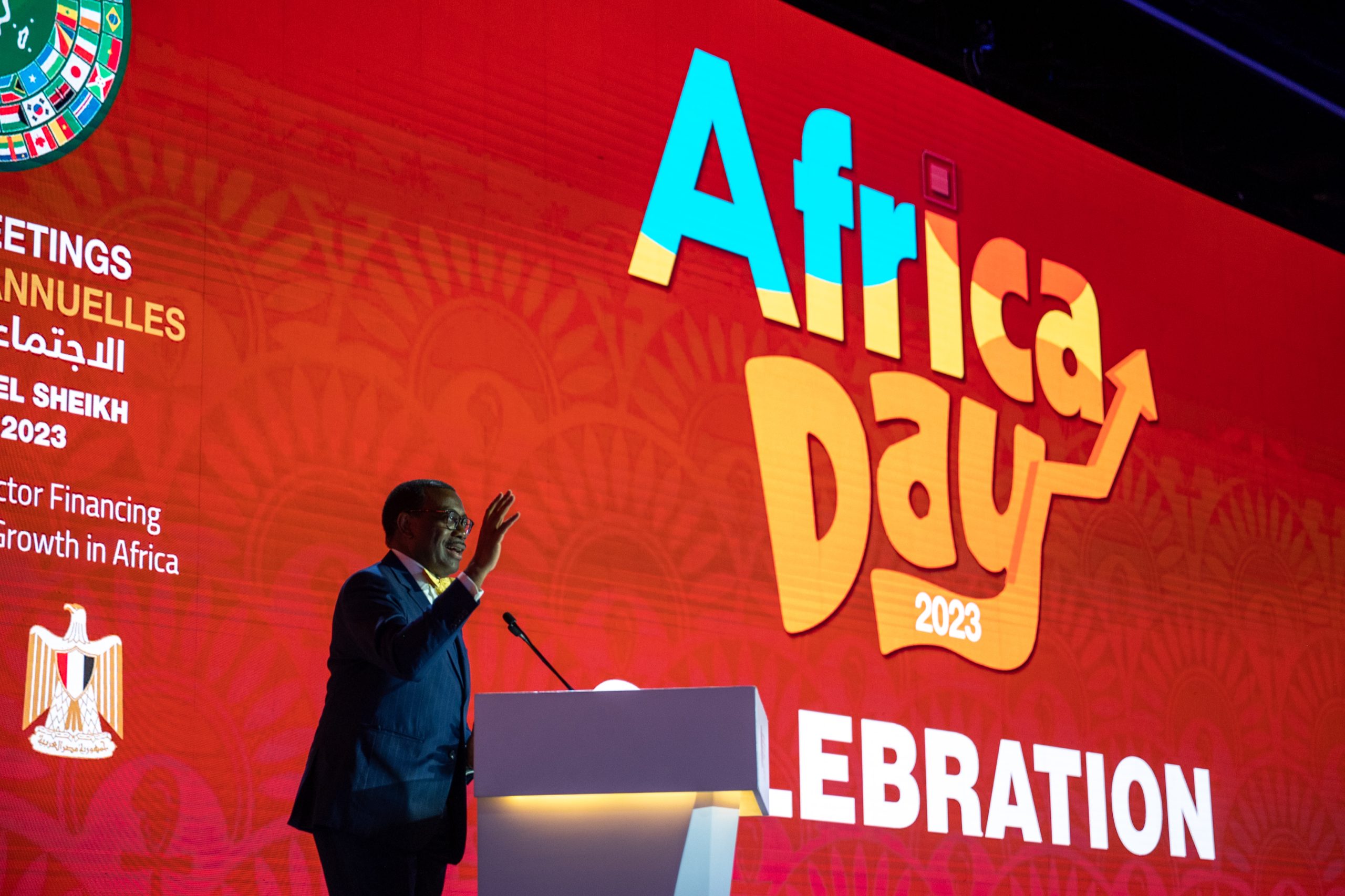 Africa Day: ‘Let’s put our resources at risk behind Africa’s young people’ – Adesina
