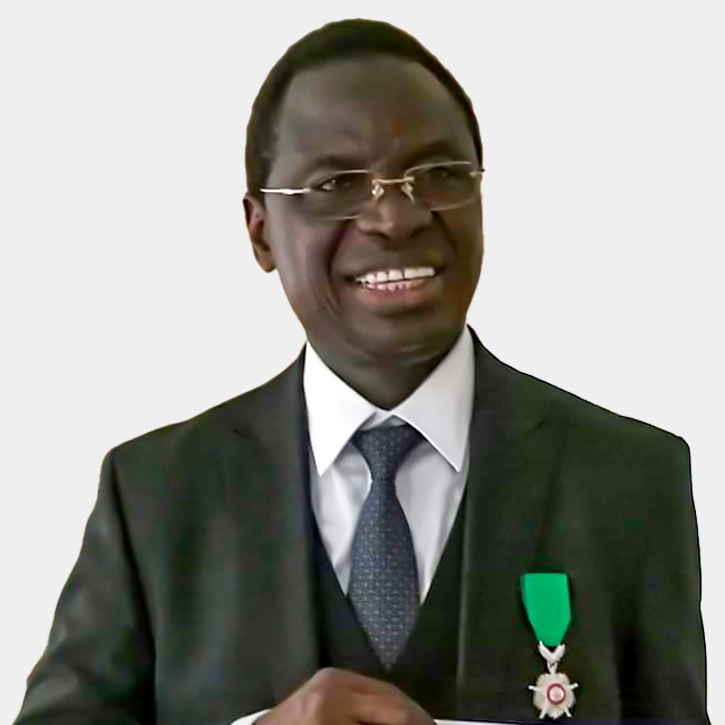 Partnerships are vital building blocks of effective universal healthcare systems (By Dr. Serigne Gueye Diop)