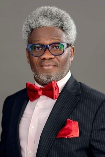 PREMIUM TIMES Books Unveils New Title on Cyber Politics, Nigerian Elections