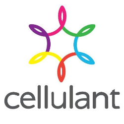 Cellulant Unveils Robust Payment Infrastructure and Innovative Payment Solution, TING, to Enhance Digital Transactions in Africa