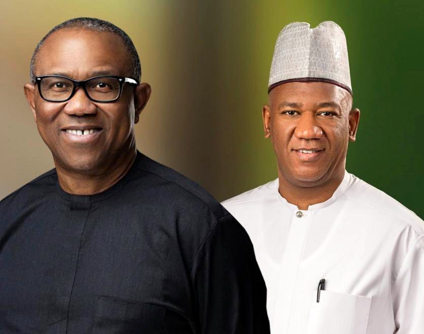 UPDATED: Okupe, Zarewa lead Peter Obi's campaign as LP announces  1,234-member team (FULL LIST)