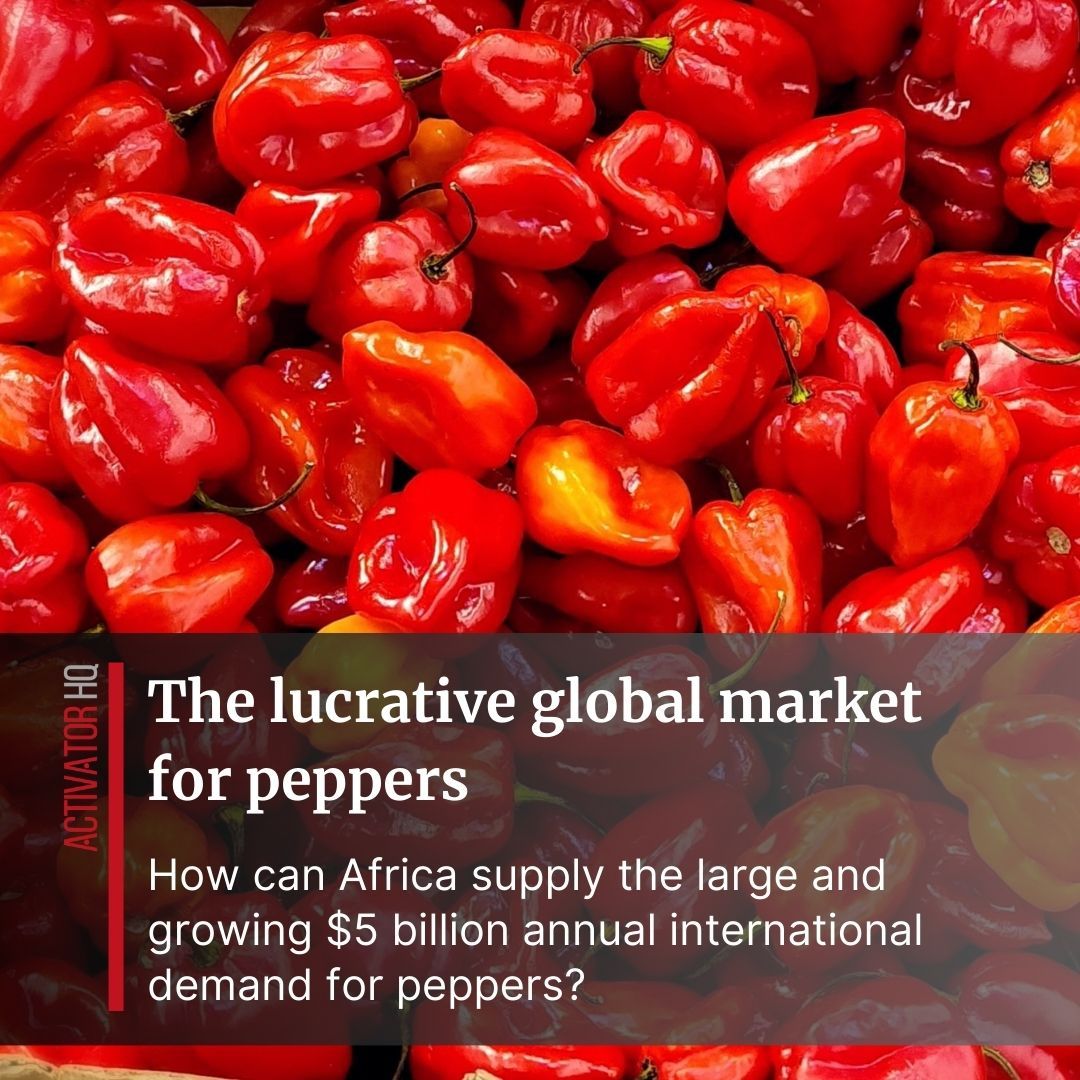 Expanding Horizons: Gashora Farms CEO, Dieudonné Twahirwa, Strikes $500 Million Deal with GK International Enterprises to Supply Dried Chili Peppers to China