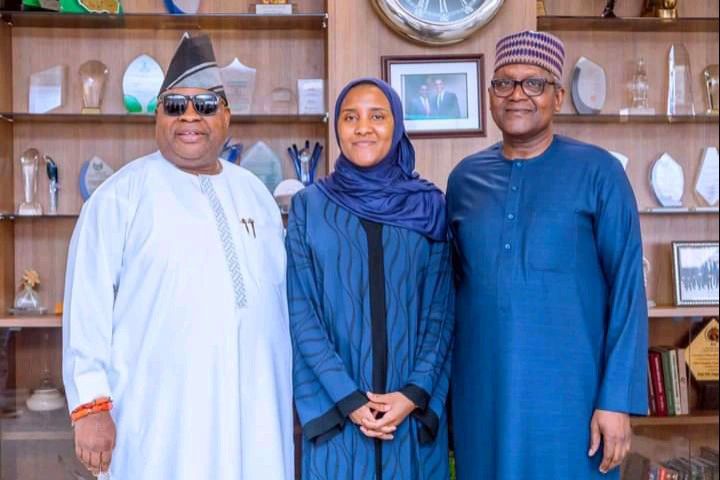 Breaking Gender Norms: Nigerian Business Moguls Groom Daughters as Successors