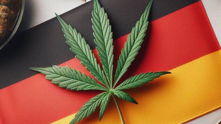 Germany Takes Bold Step: Legalizes Recreational Cannabis