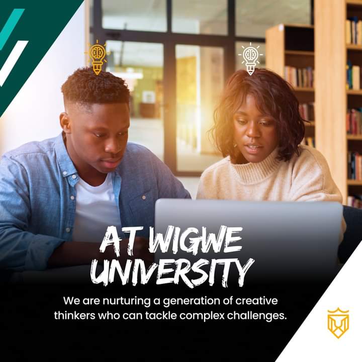 Wigwe University Set to Offer Nigeria’s Most Expensive Student Accommodation