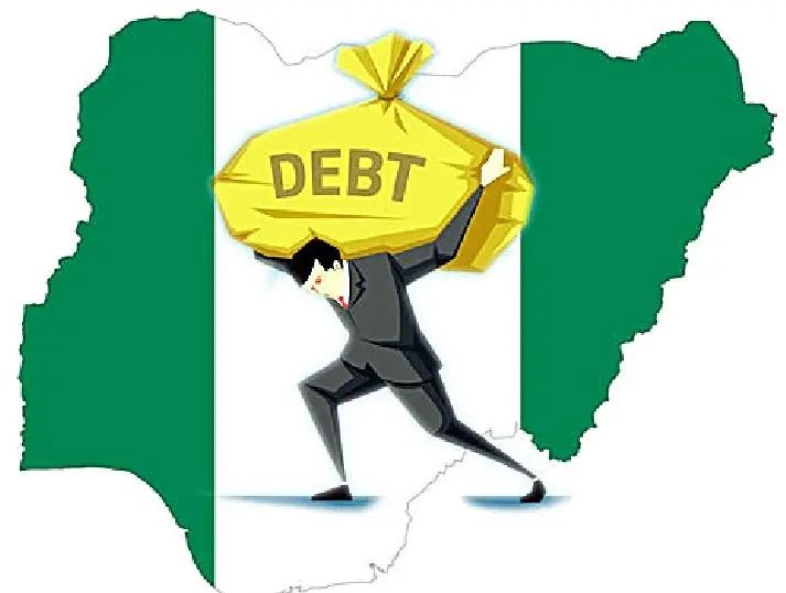 Professor Ndubuisi Ekekwe Addresses Nigeria’s Financial Challenges Amid Rising Debt Servicing Costs