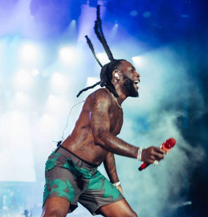Burna Boy Spends Over 300 Million Naira to Bring Top Nigerian Artists to His Sold-Out London Stadium Concert