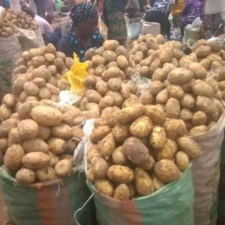 Enugu State: Nsukka Market Leads Agricultural Renaissance in Southeast Nigeria