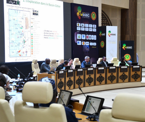 Chief Executive Officer (CEO) Assembly to Shape the Future of African Energy at MSGBC 2024