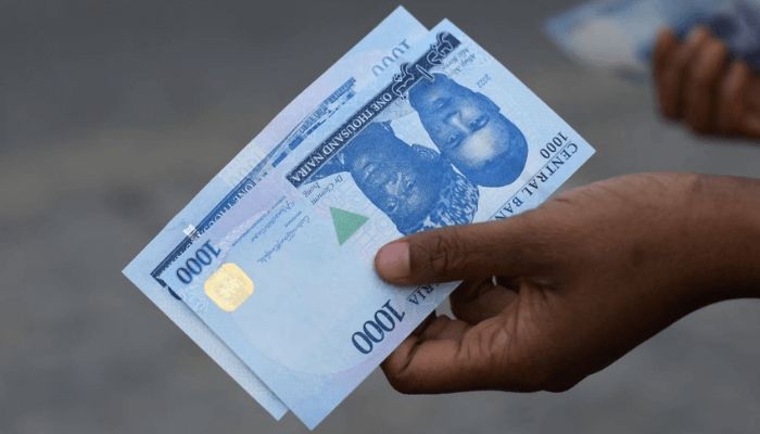 Nigerian Economic Expert Highlights Currency Challenges and Regional Competition