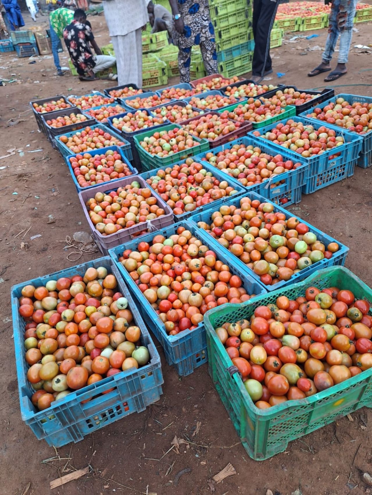 An Inspiring Tale of Transition: Senator Babafemi Ojudu Shares a Story of Success and Resilience