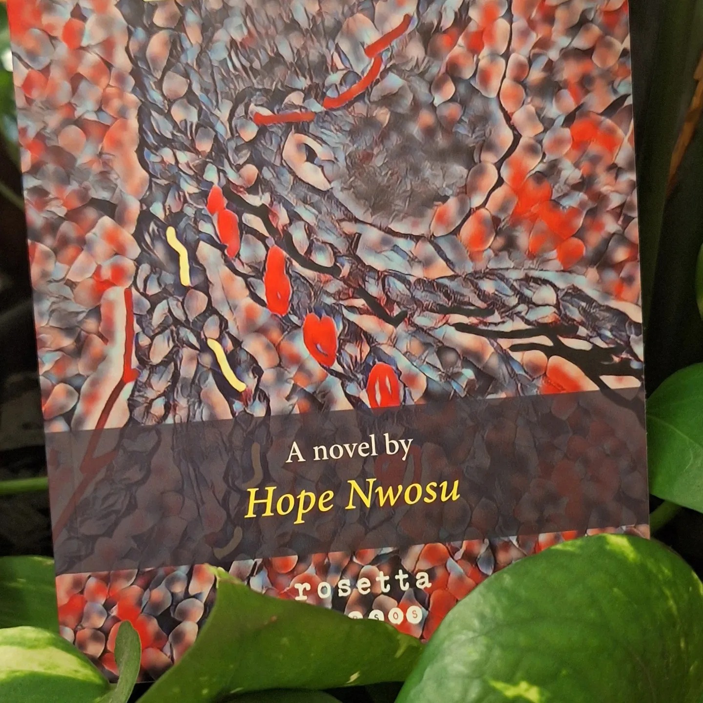 Hope Nwosu Set to Present Her Debut Novel “SoldOut” at Helsinki’s International Grand Event