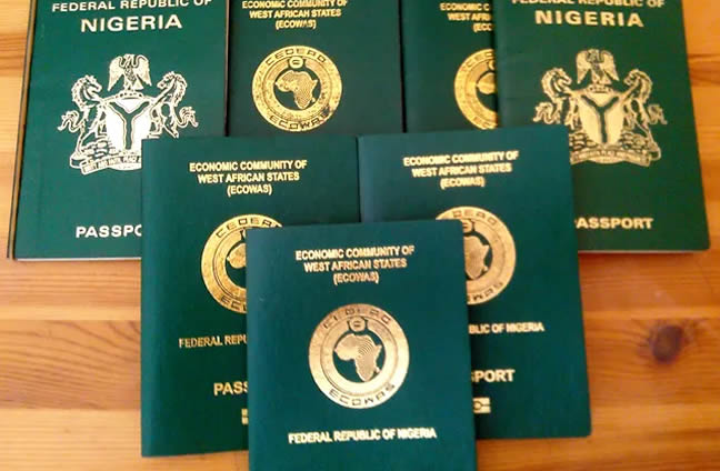 Professor Ndubuisi Ekekwe Analyzes Nigeria’s Passport Fee Hike Amidst Naira Devaluation