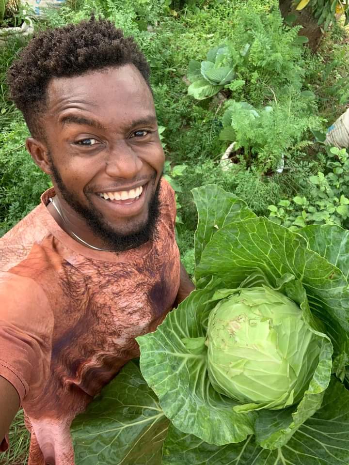 Enugu Farmer’s Successful Harvest Shatters Myths on Southeast Vegetable Cultivation