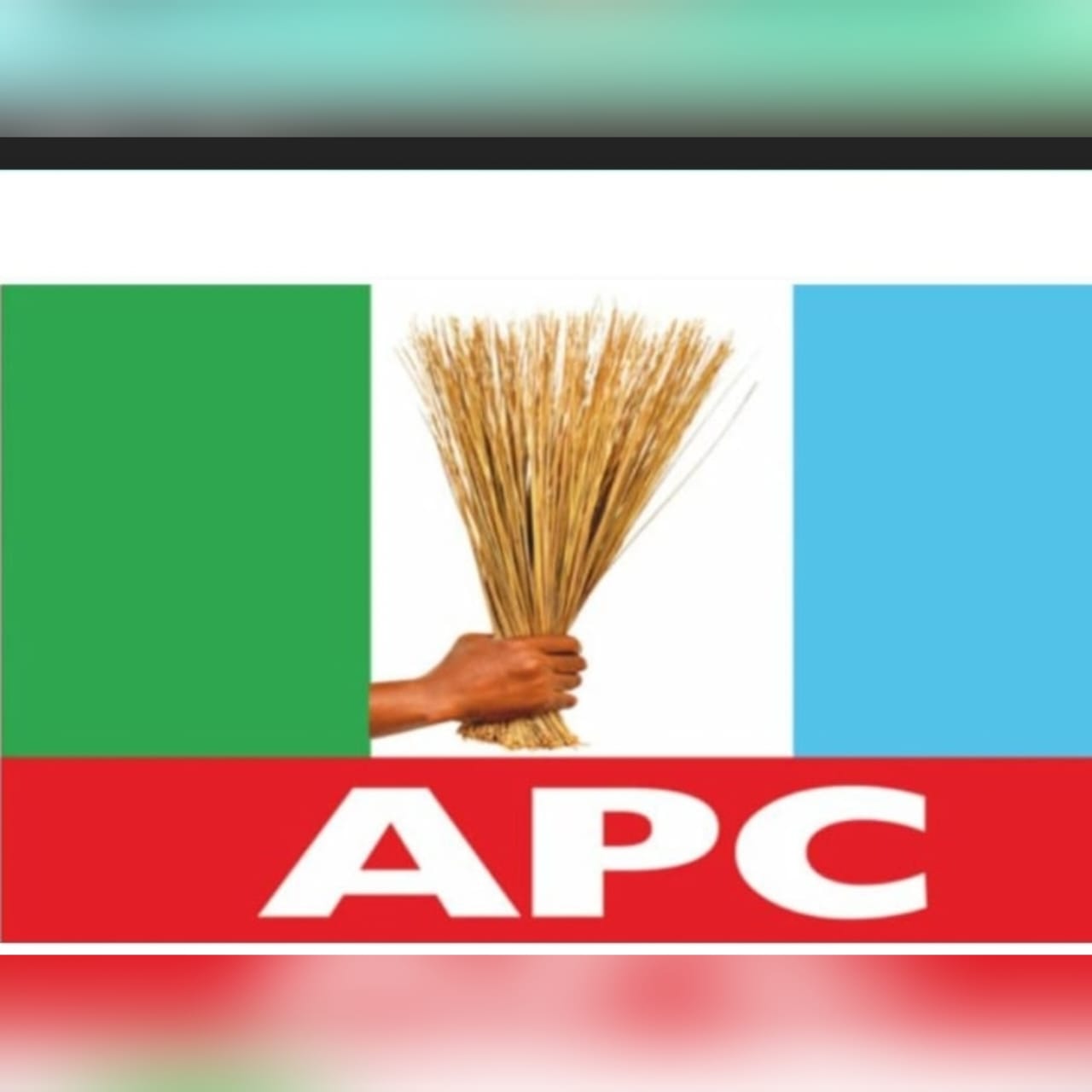 JIGAWA APC WARNS AGAINST ATTACKS ON STATE LEADERS AND ADMONISHES THOSE INSTIGATING CRISIS IN THE PARTY .