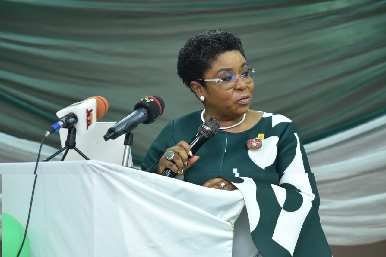 National Council on Establishments: A Critical Organ for Effective Socio-Economic Development of the Nation – Walson-Jack