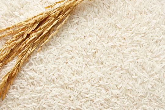 Africa’s Largest Rice Importers in 2023: Cote D’Ivoire Tops the