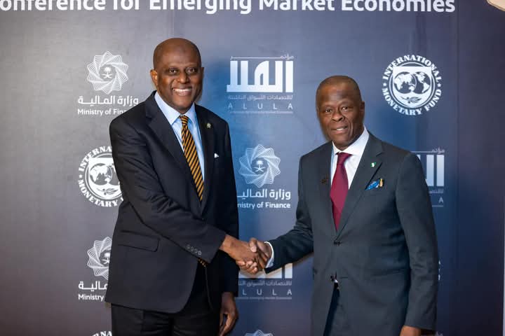 CBN Governor Advocates Stronger Economic Ties at AlUla Economic Policy Conference