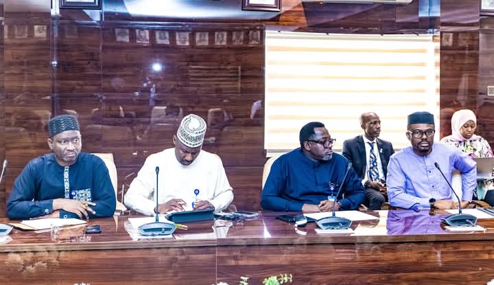 Federal Government Establishes Joint Committee to Address Fiber Optic Cuts During Road Projects