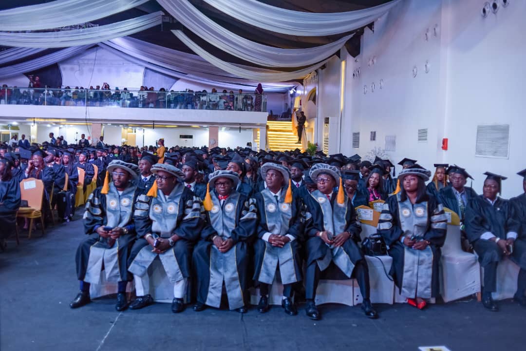 Nigeria’s Digital Transformation Gains Momentum, Says Rome Business School Report