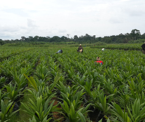 Afreximbank commissions first-of-its-kind African Trade Centre in Abuja, Nigeria – marking a new era for Intra-African trade