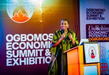 Dr. Jumoke Oduwole Calls for Industrial Transformation at Ogbomoso Economic Summit