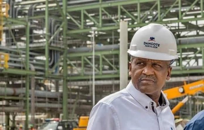 dangote