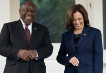 Researcher Says Africa’s Economic Model Favors Quick Cash Over Long-Term Development