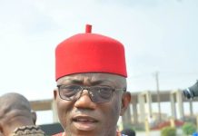 Anayo Nwosu Urges Nigerians to Reconnect With Their Roots