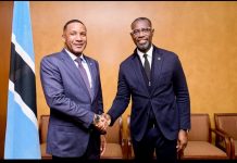 Akinwole Omoboriowo II Appointed Vice Chairman of Botswana Power Corporation