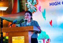 Nigeria Reaffirms Commitment to Strengthening Trade and Investment Ties with India