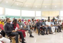 Building What Is Missing: Innocent Isichei’s Blueprint for a Digitally Integrated South-East Economy