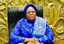 Namibia Blocks Starlink Licence Despite Overwhelming Public Support, Raising Questions About Africa’s Digital Future