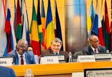 Climate Financing and Global Solidarity Take Center Stage at V20 Ministerial Dialogue in Washington