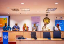 Unlocking Green Investment: Experts Call for Coordination and Policy Clarity in Nigeria’s Energy Transition