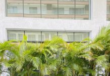 Nigerian Development Consultant Highlights Power of Collaboration After Ghana Trade Tour