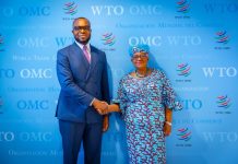 Nigeria, WTO Discuss Trade, Technology and AI Cooperation at ITU Council Meeting