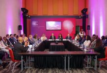 IFC Executive Highlights Shift Toward Long-Term Gulf Investments in Africa