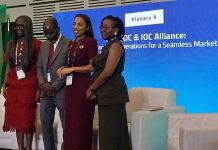 Africaโs Energy Future Depends on Technology, Talent and Standardised Operations โ Expert