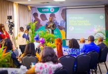 Nigeria Moves to Strengthen Online Safety for Children as Stakeholders Converge on Digital Protection Framework