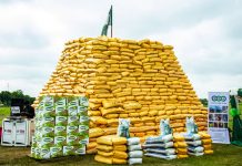Bank of Agriculture Targets Two Million Farmers with Renewed Hope Agricultural Support Programme